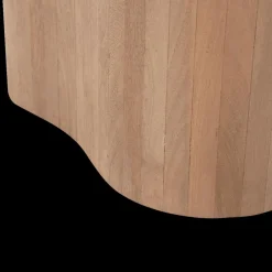 Salontafel S/2 AILO Mangohout Natural