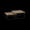 Set van 2 salontafels ETHAN Massief Acacia naturel
