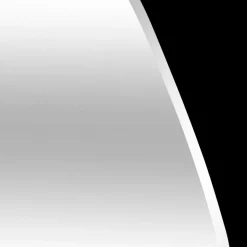 Spiegel BISO Organisch Facet L