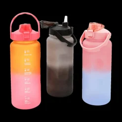 Sportbidon DRINOX 2L Ass.