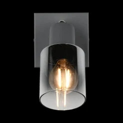 Spot CADIZ 1Del. Met./Glas Antraciet