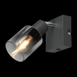 Spot CADIZ 1Del. Met./Glas Antraciet