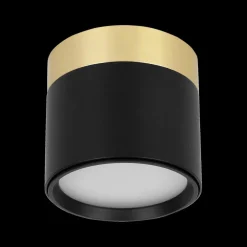 Spot RAKU Ø7.5 Zwart/Goud