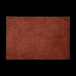 Tapijt ASHISH 120 Poly Terra