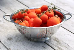 Vergiet TRIARI Rond M/2Handvat RVS